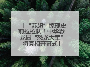 “苏超”惊现史前拉拉队！中华恐龙园“恐龙大军”将亮相开幕式
