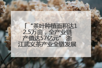“茶叶种植面积达12.5万亩，全产业链产值达57亿元” 浙江武义茶产业全链发展“加速度”
