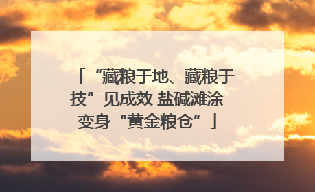 “藏粮于地、藏粮于技”见成效 盐碱滩涂变身“黄金粮仓”