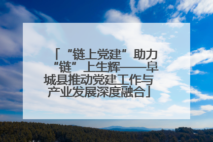 “链上党建”助力“链”上生辉——阜城县推动党建工作与产业发展深度融合
