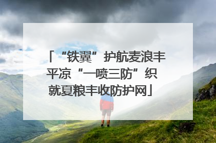 “铁翼”护航麦浪丰 平凉“一喷三防”织就夏粮丰收防护网