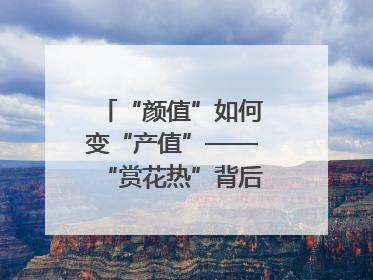 “颜值”如何变“产值”——“赏花热”背后的产业图谱