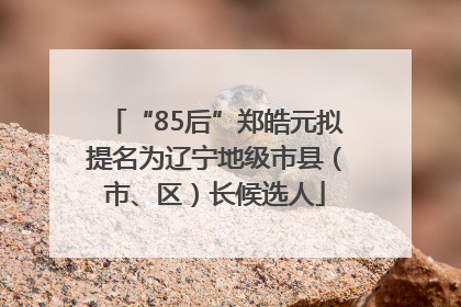 “85后”郑皓元拟提名为辽宁地级市县（市、区）长候选人