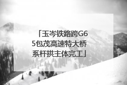 玉岑铁路跨G65包茂高速特大桥系杆拱主体完工
