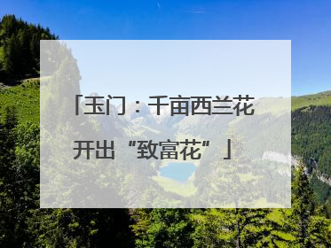 玉门：千亩西兰花开出“致富花”