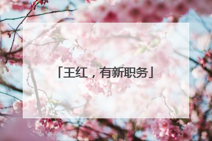 王红，有新职务