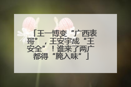 王一博变“广西表哥”，王安宇成“王安全”！谁来了两广都得“腌入味”