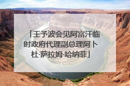 王予波会见阿富汗临时政府代理副总理阿卜杜·萨拉姆·哈纳菲