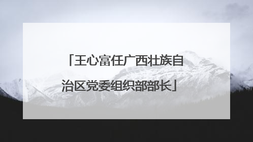 王心富任广西壮族自治区党委组织部部长