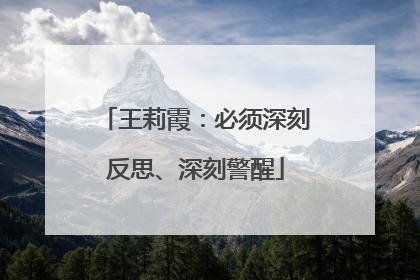 王莉霞：必须深刻反思、深刻警醒
