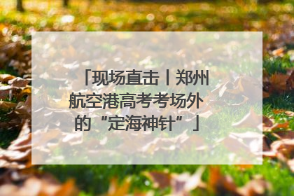现场直击丨郑州航空港高考考场外的“定海神针”