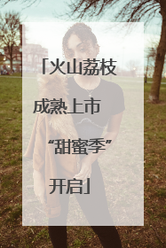 火山荔枝成熟上市 “甜蜜季”开启