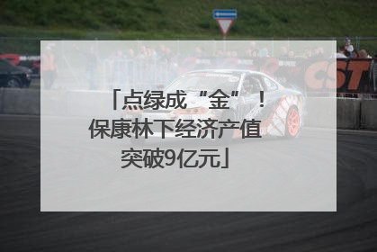 点绿成“金”！保康林下经济产值突破9亿元
