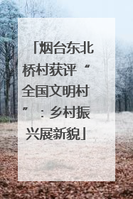 烟台东北桥村获评“全国文明村”：乡村振兴展新貌
