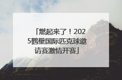 燃起来了！2025鹤壁国际匹克球邀请赛激情开赛