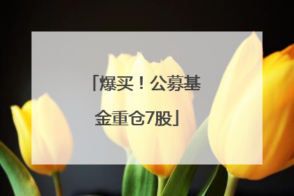 爆买！公募基金重仓7股