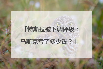 特斯拉被下调评级：马斯克亏了多少钱？