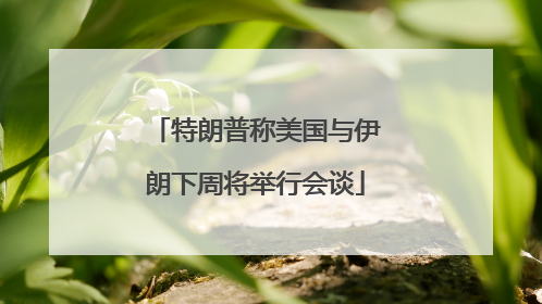特朗普称美国与伊朗下周将举行会谈