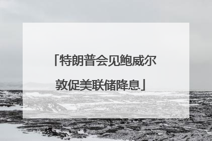 特朗普会见鲍威尔 敦促美联储降息