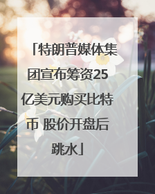 特朗普媒体集团宣布筹资25亿美元购买比特币 股价开盘后跳水