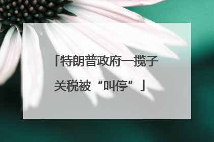 特朗普政府一揽子关税被“叫停”