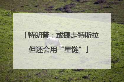 特朗普：或挪走特斯拉 但还会用“星链”