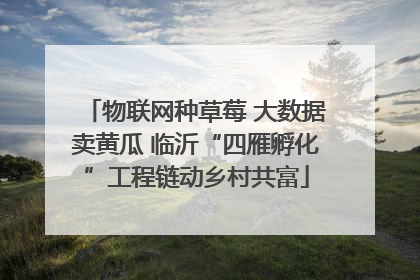 物联网种草莓 大数据卖黄瓜 临沂“四雁孵化”工程链动乡村共富
