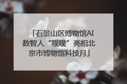 石景山区博物馆AI数智人“噗噗”亮相北京市博物馆科技月