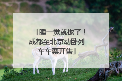 睡一觉就拢了！成都至北京动卧列车车票开售
