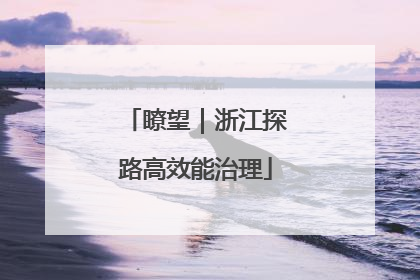 瞭望｜浙江探路高效能治理