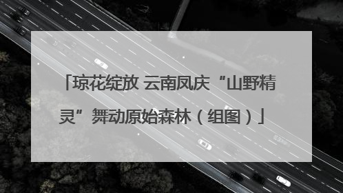 琼花绽放 云南凤庆“山野精灵”舞动原始森林（组图）