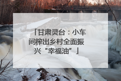 甘肃灵台：小车间榨出乡村全面振兴“幸福油”