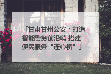 甘肃甘州公安：打造智能警务前沿哨 搭建便民服务“连心桥”