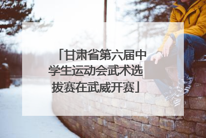 甘肃省第六届中学生运动会武术选拔赛在武威开赛