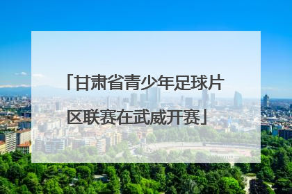 甘肃省青少年足球片区联赛在武威开赛