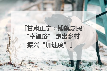 甘肃正宁：铺就惠民“幸福路” 跑出乡村振兴“加速度”