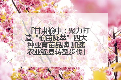 甘肃榆中：聚力打造“榆苗陇萃”四大种业育苗品牌 加速农业强县转型步伐