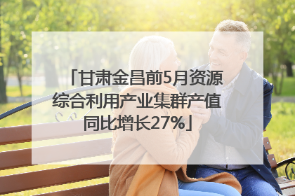 甘肃金昌前5月资源综合利用产业集群产值同比增长27%
