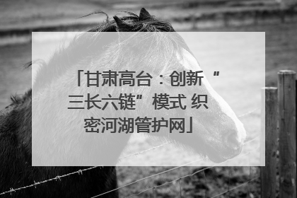 甘肃高台：创新“三长六链”模式 织密河湖管护网
