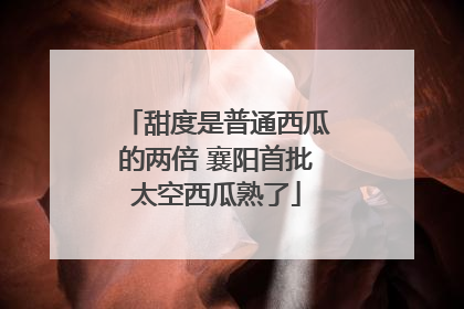 甜度是普通西瓜的两倍 襄阳首批太空西瓜熟了