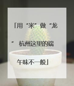 用“米”做“龙” 杭州这里的端午味不一般