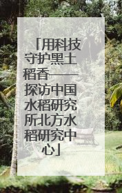 用科技守护黑土稻香——探访中国水稻研究所北方水稻研究中心