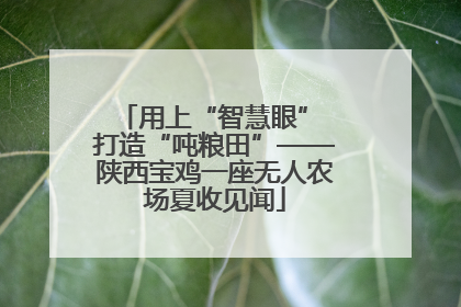 用上“智慧眼” 打造“吨粮田”——陕西宝鸡一座无人农场夏收见闻