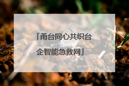 甬台同心共织台企智能急救网