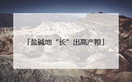 盐碱地“长”出高产粮