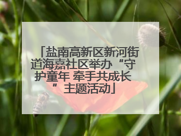 盐南高新区新河街道海嘉社区举办“守护童年 牵手共成长”主题活动