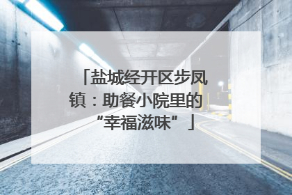 盐城经开区步凤镇：助餐小院里的“幸福滋味”