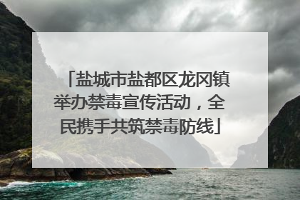 盐城市盐都区龙冈镇举办禁毒宣传活动，全民携手共筑禁毒防线