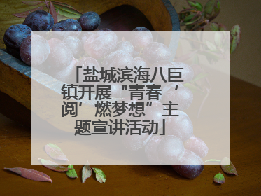 盐城滨海八巨镇开展“青春‘阅’燃梦想”主题宣讲活动