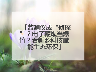 监测仪成“侦探”？电子鞭炮当爆竹？看新乡科技赋能生态环保